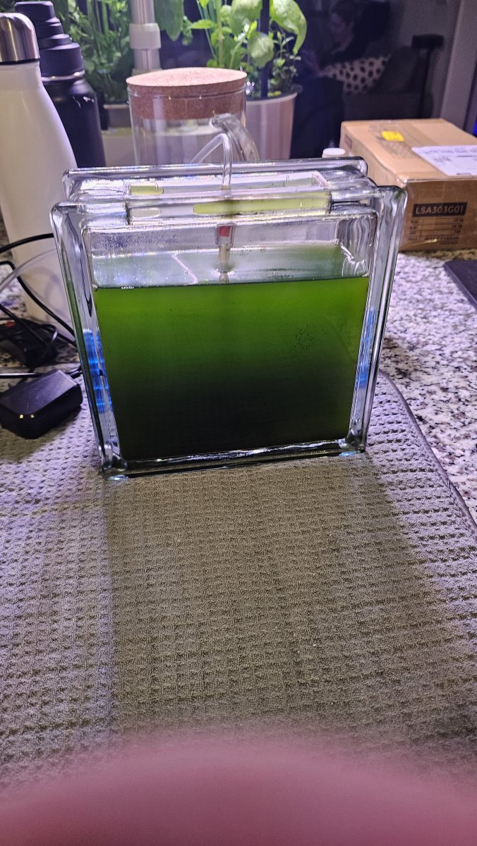 20240131_205044.jpg