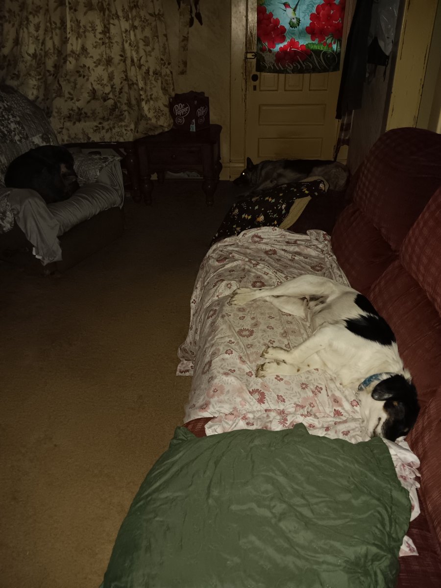 20240610_054257.jpg