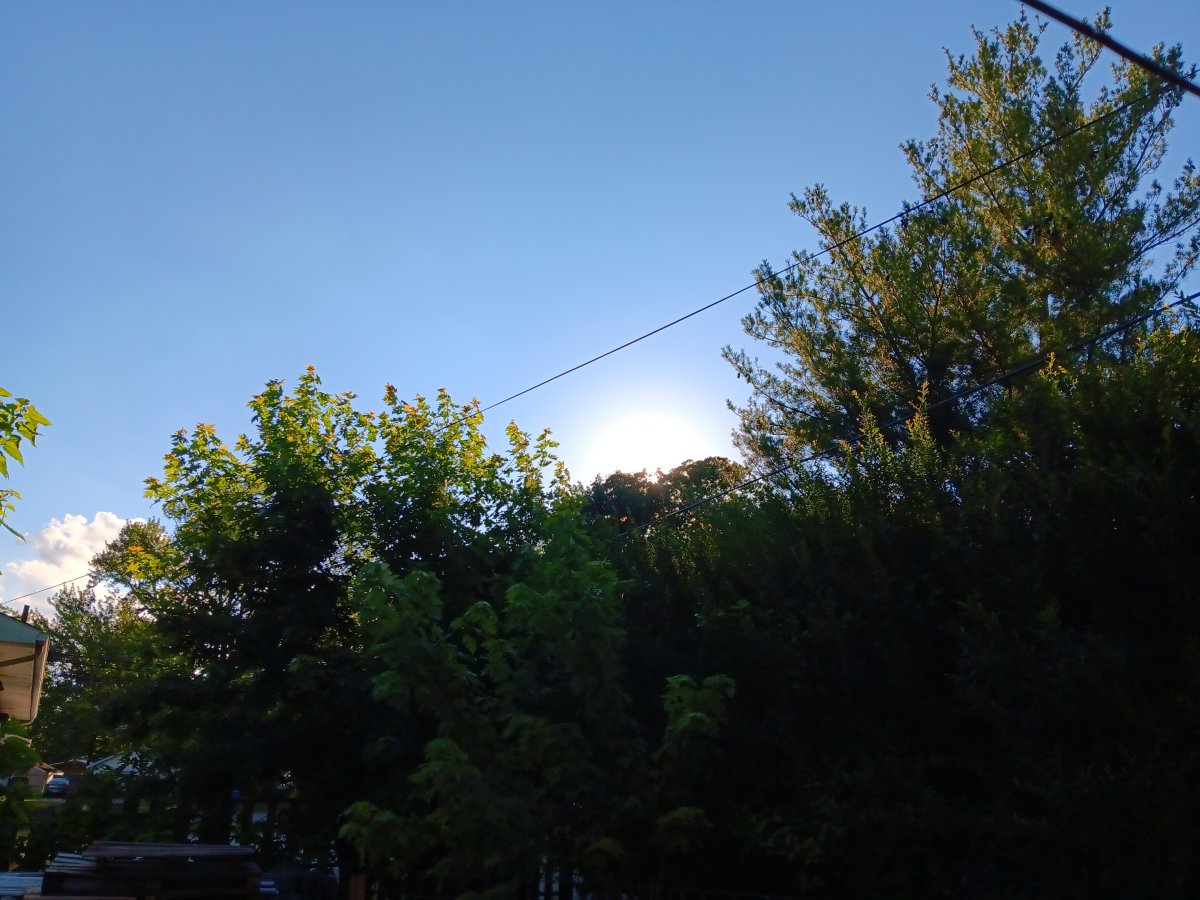 20240610_182806.jpg