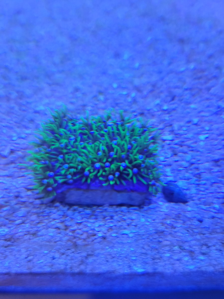 20240804_123336.jpg