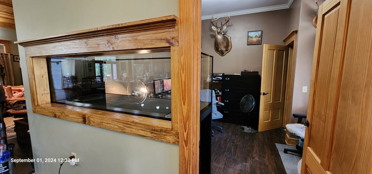 20240901_123000[1].jpg