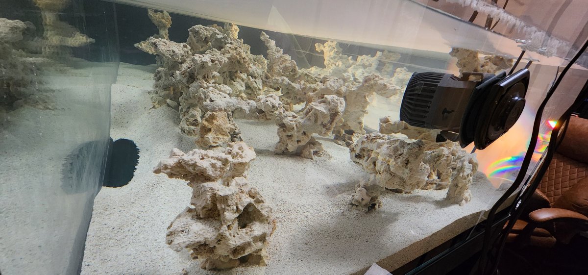 20240909_201902[1].jpg