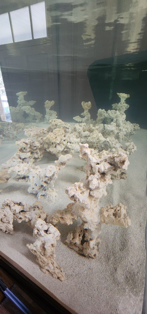 20240918_154638[1].jpg