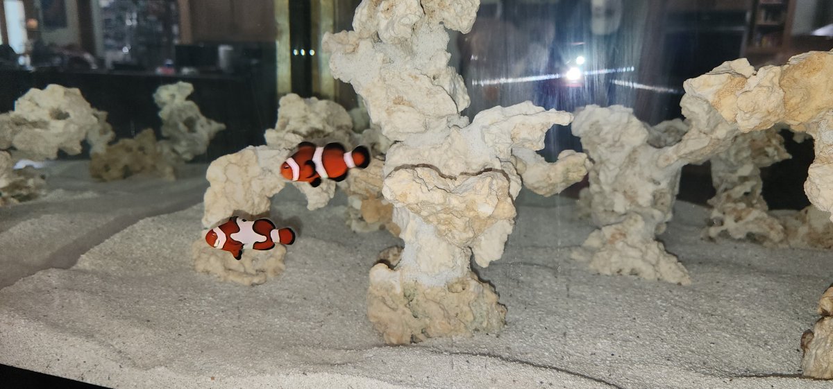 20240921_100356[1].jpg