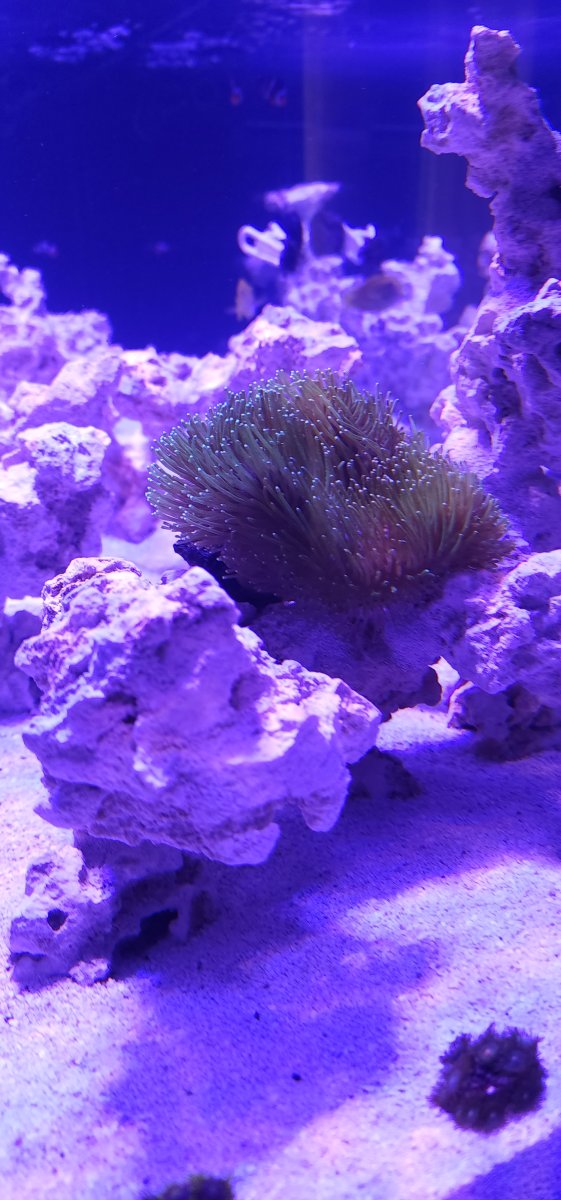 20241009_170021[1].jpg