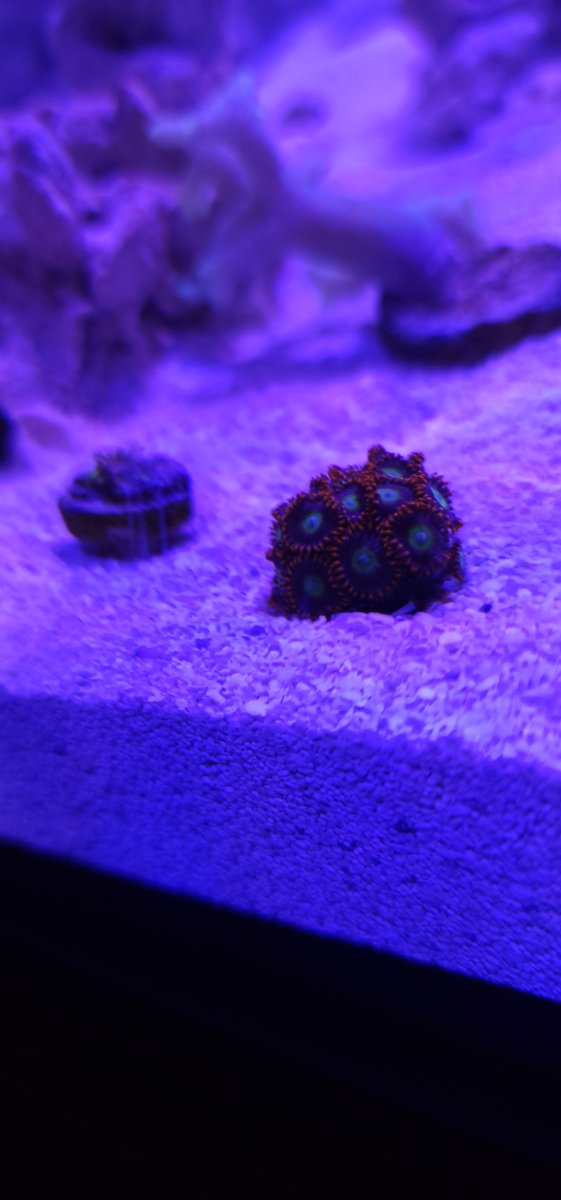 20241009_170038[1].jpg