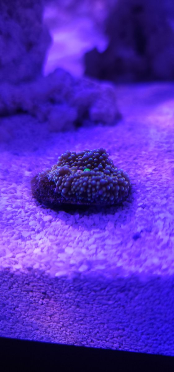 20241009_170045[1].jpg