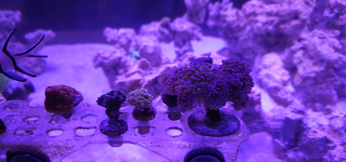 20241016_124716[1].jpg