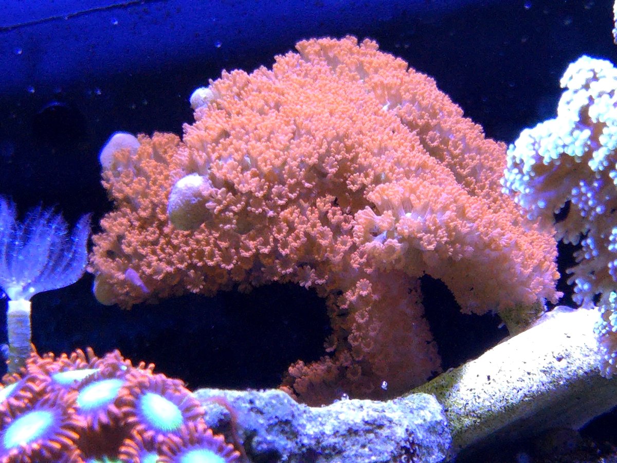 20241130_122031.jpg