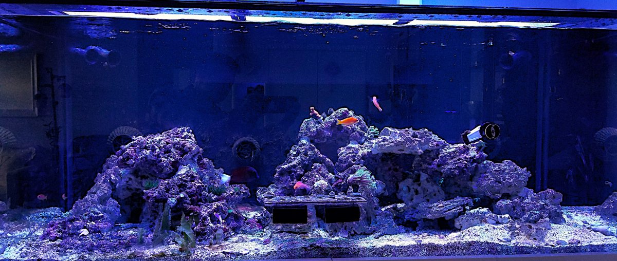 20241215_113837.jpg