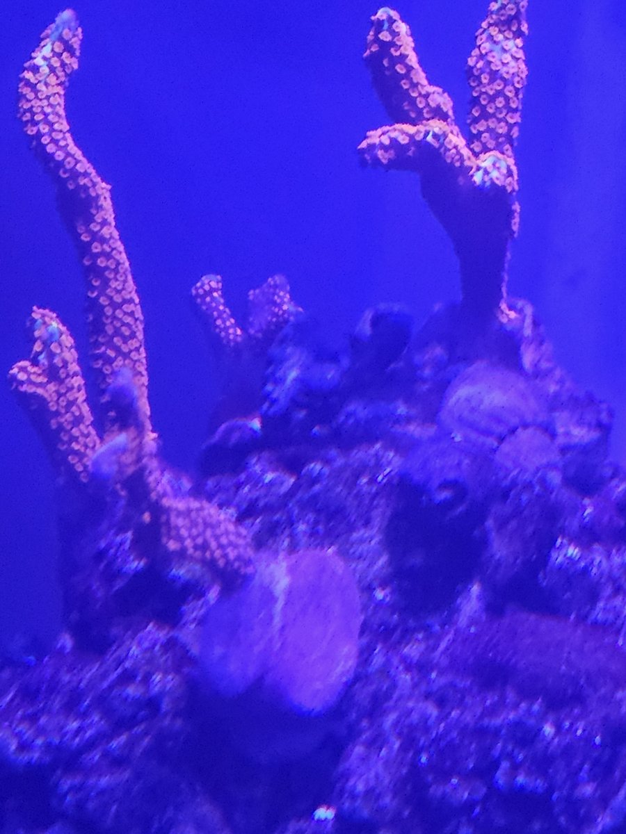 20250115_175649.jpg