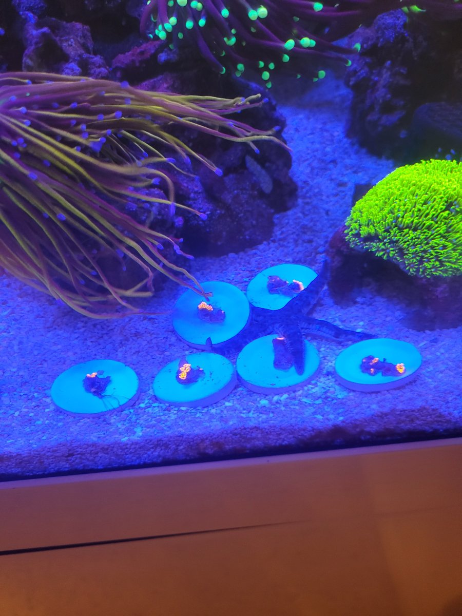 20250127_212814.jpg