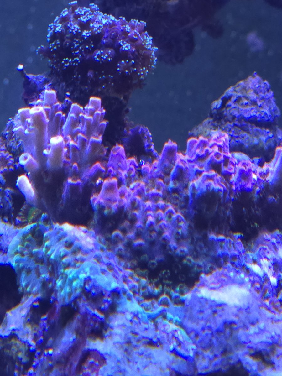 20250601_152802.jpg