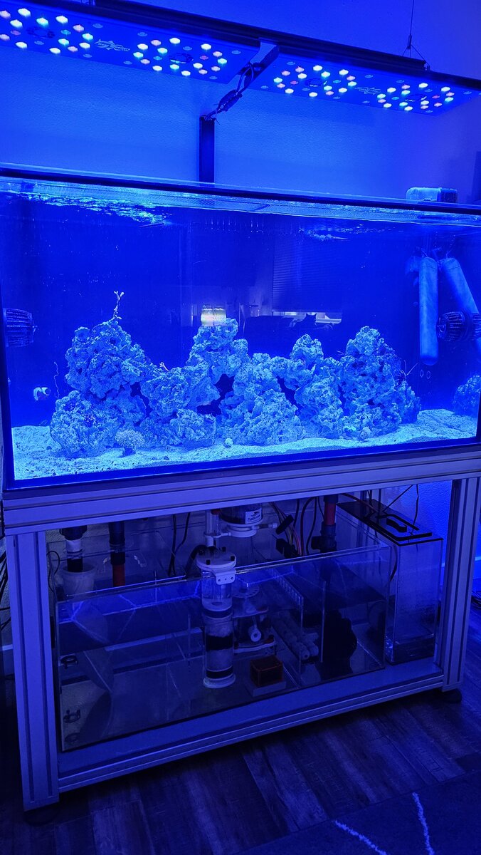 20250604_185831.jpg