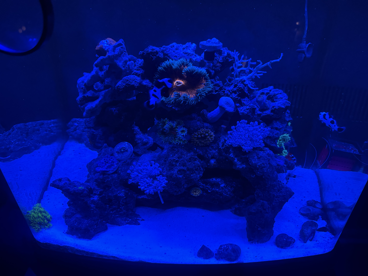 20250610_071156.png