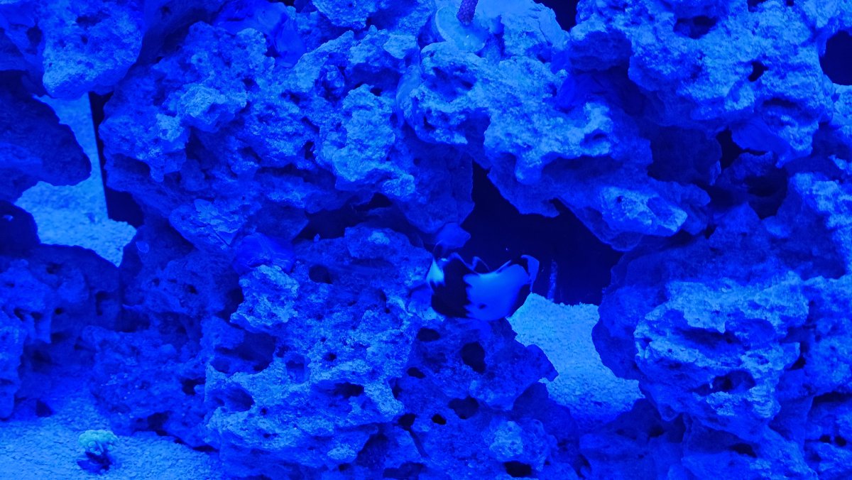 20250615_220211.jpg
