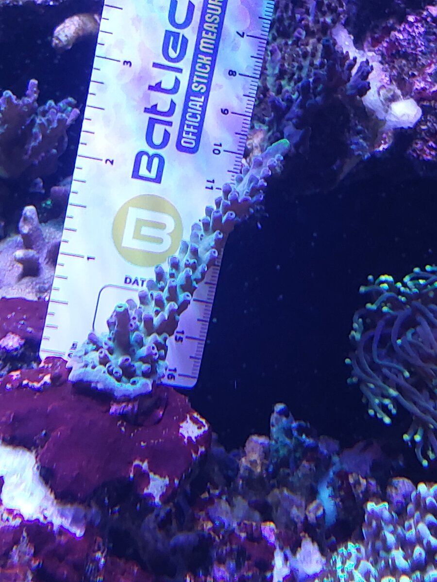 20250721_175612.jpg