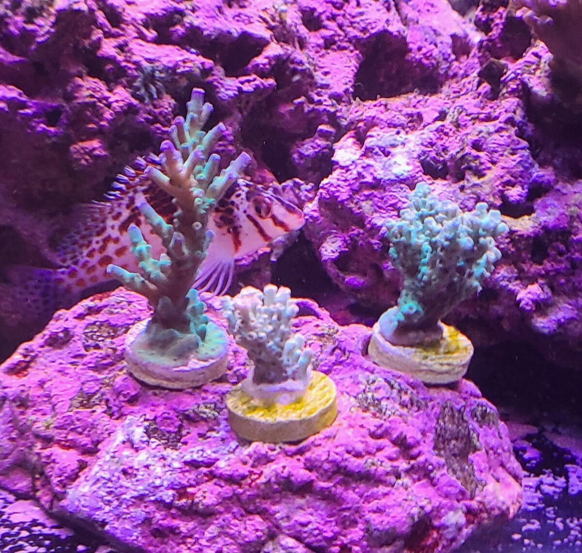 20250722_101448.jpg