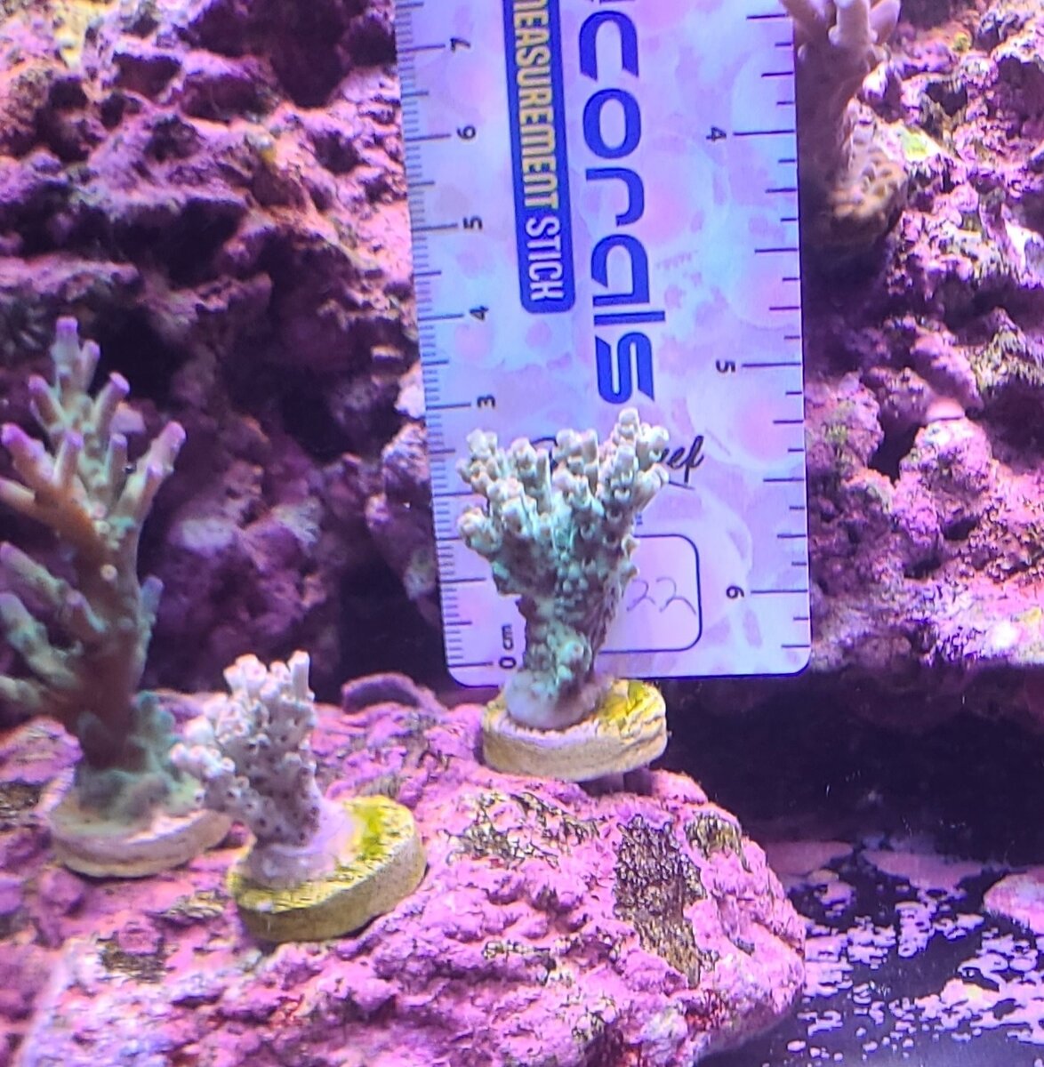 20250722_103848.jpg
