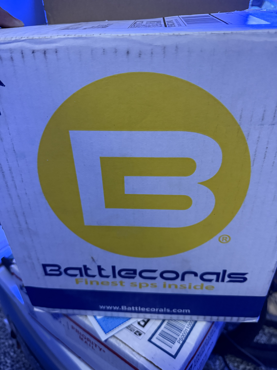 20250722_135723_936FCBBC-E1E0-42B3-BE94-B88BE3D90853.png
