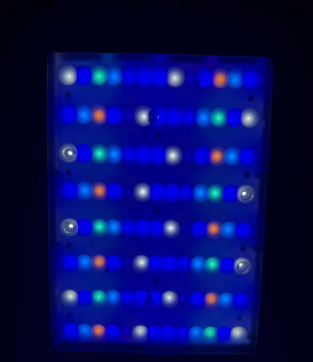 20250727_121934_FA6AB765-40B6-4FFC-952D-5AC04B0C137D.png