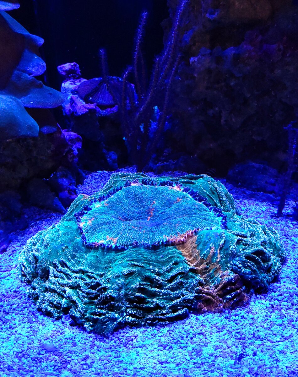 20250728_165213.jpg