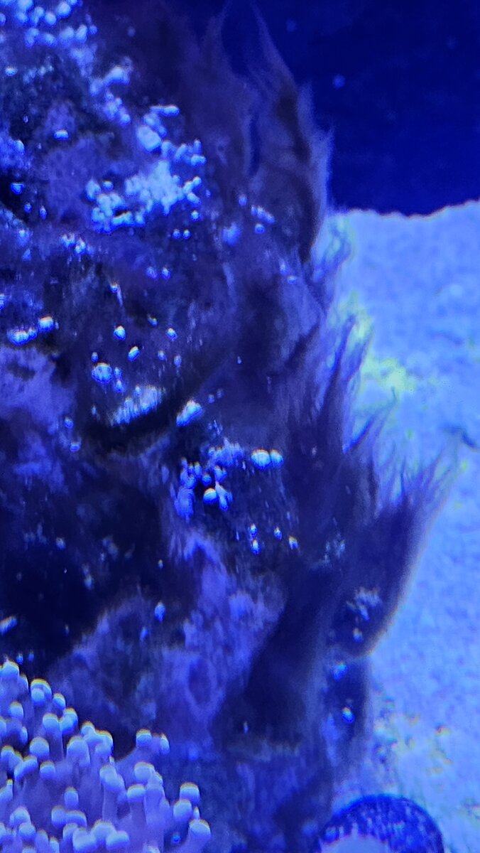 20250728_175516.jpg