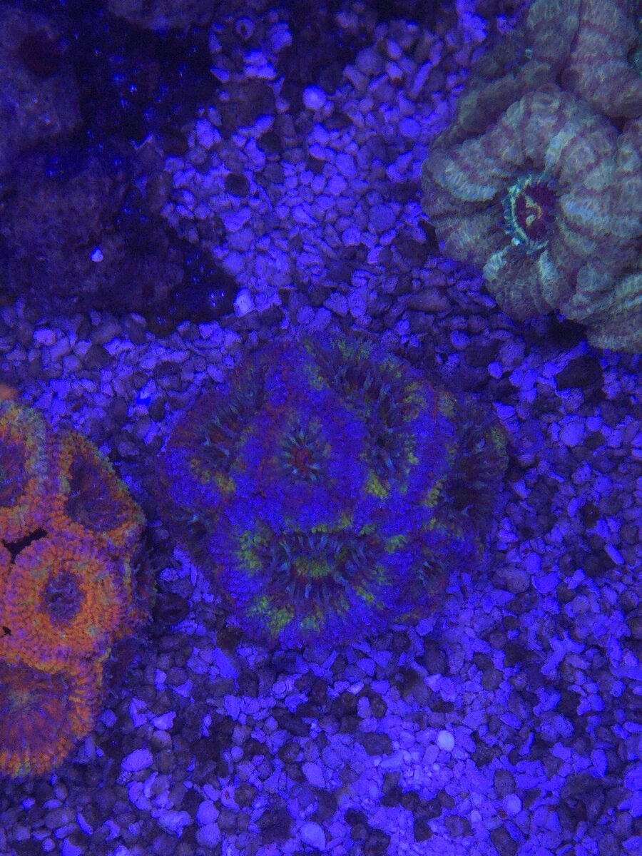 20250831_100133.jpg