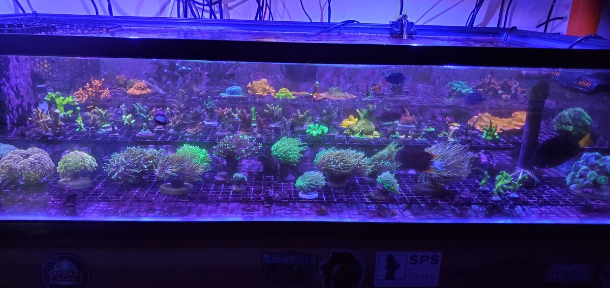20251109_185848.jpg