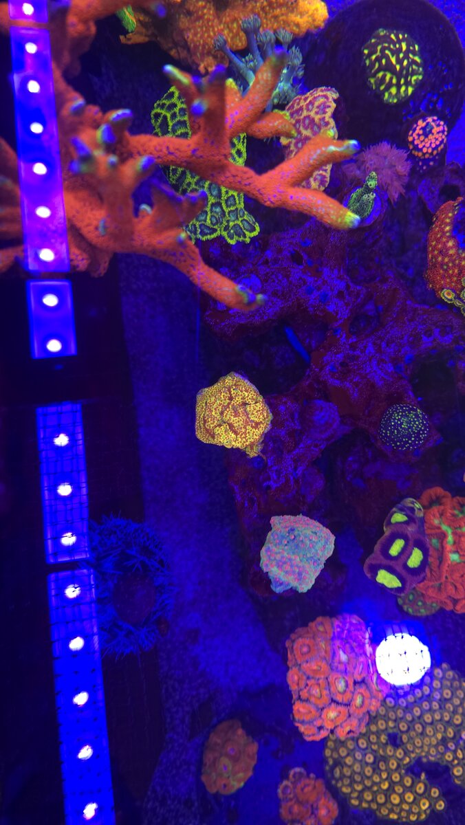 20251110_211815.jpg