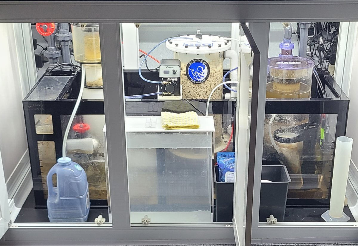 Build Thread - Lets put the Serious Reefs' 90/10 Method to the test ...