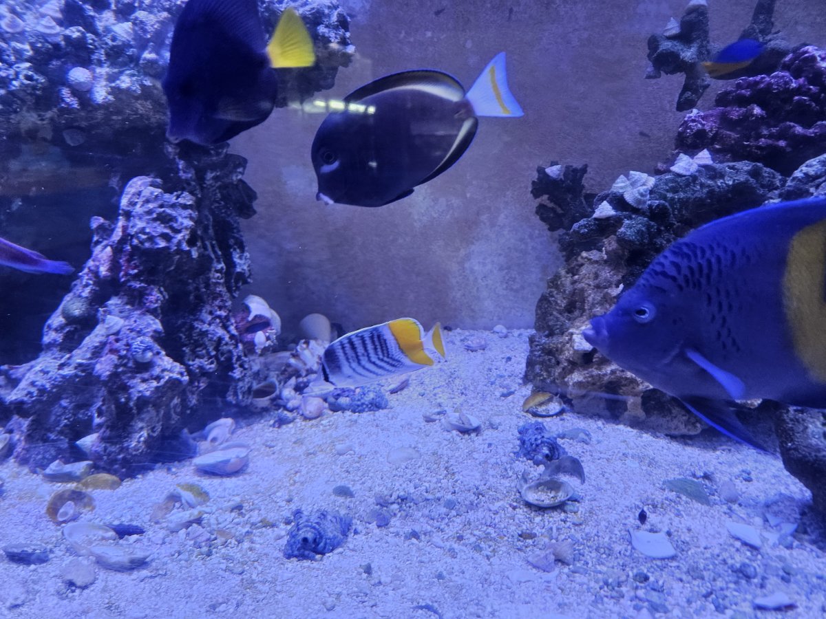 20260103_171013.jpg