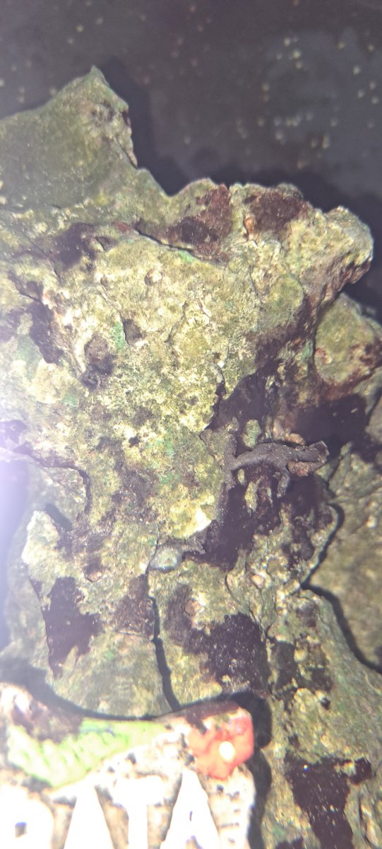 20260124_074937.jpeg