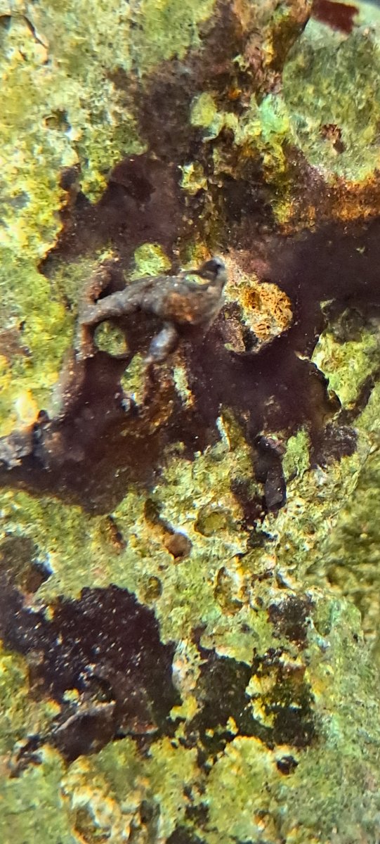 20260124_075511.jpeg