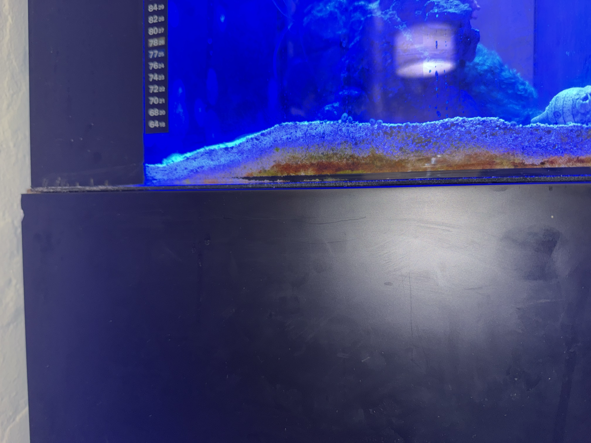 20260221_183053.png