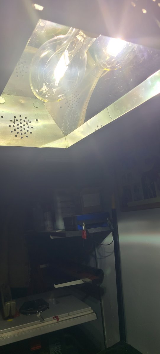 20260227_081908.jpg