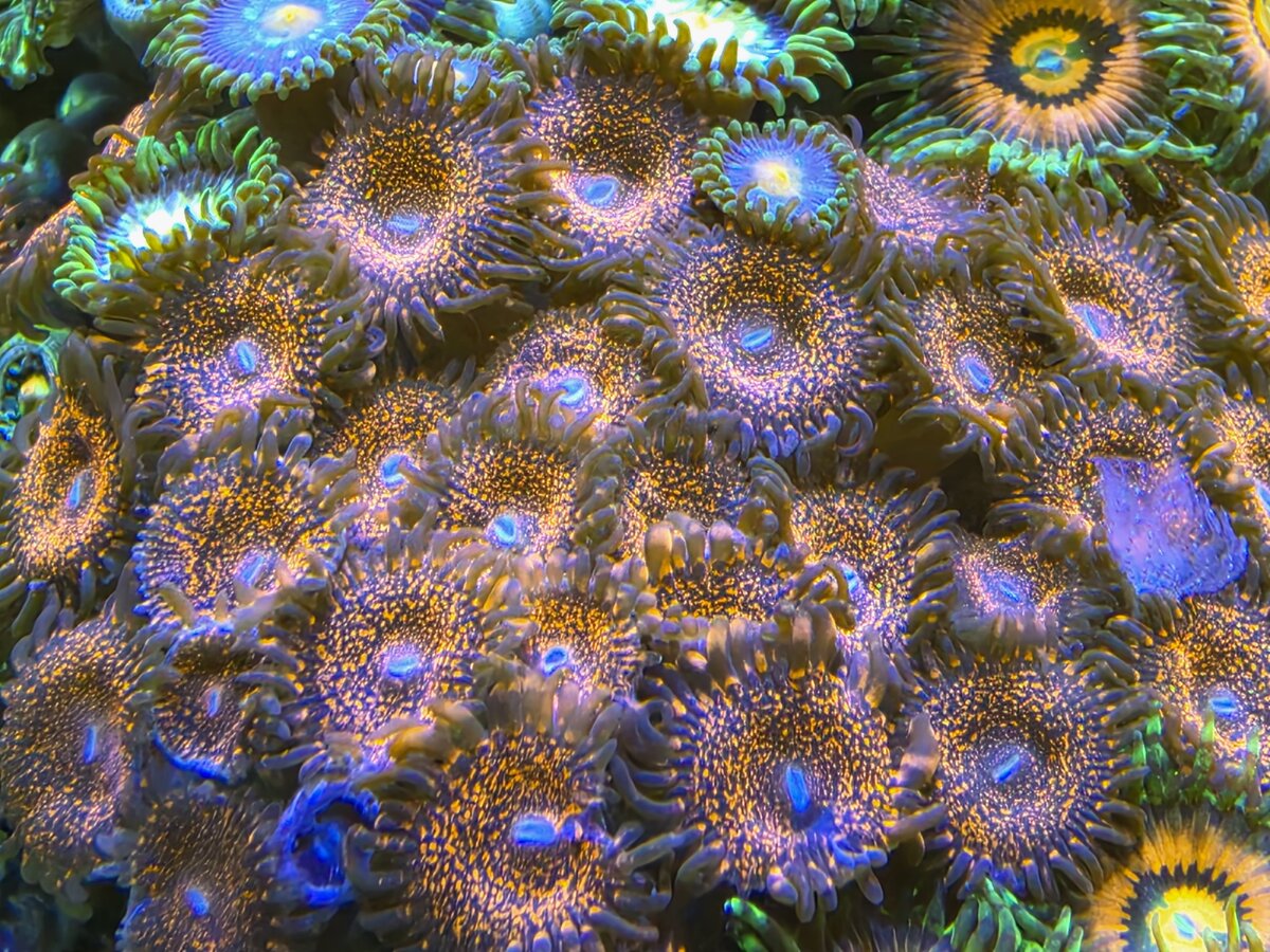 20260513_131119.jpg