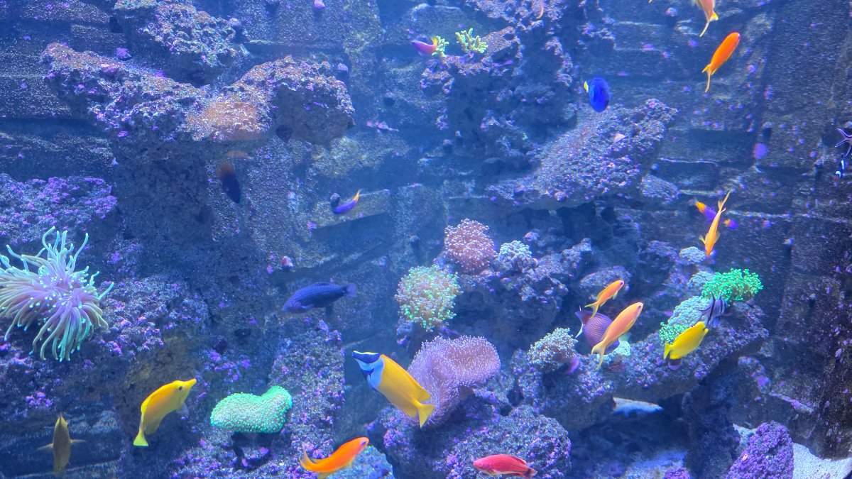 20260628_201013.jpg