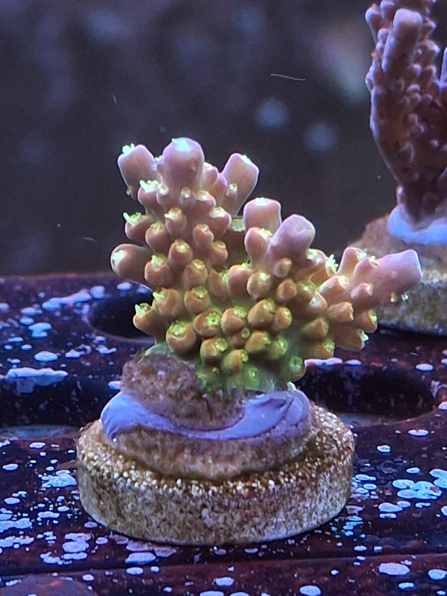 20260705_201341.jpg