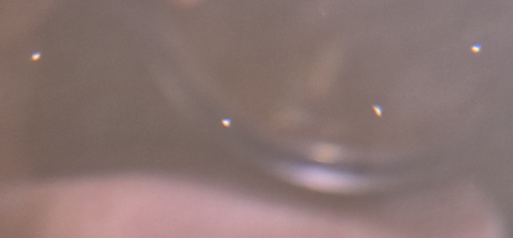 20260807_093236.jpg