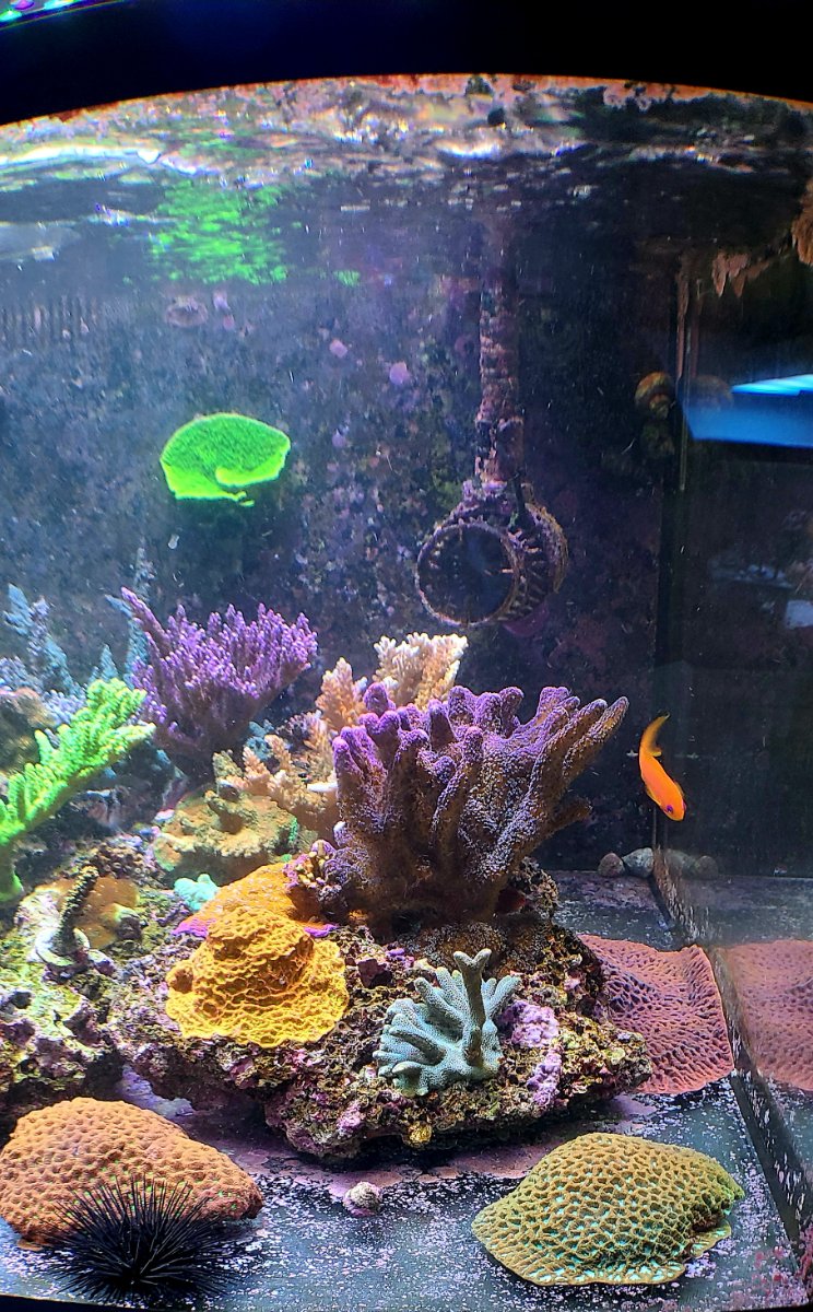 20260902_170635.jpg