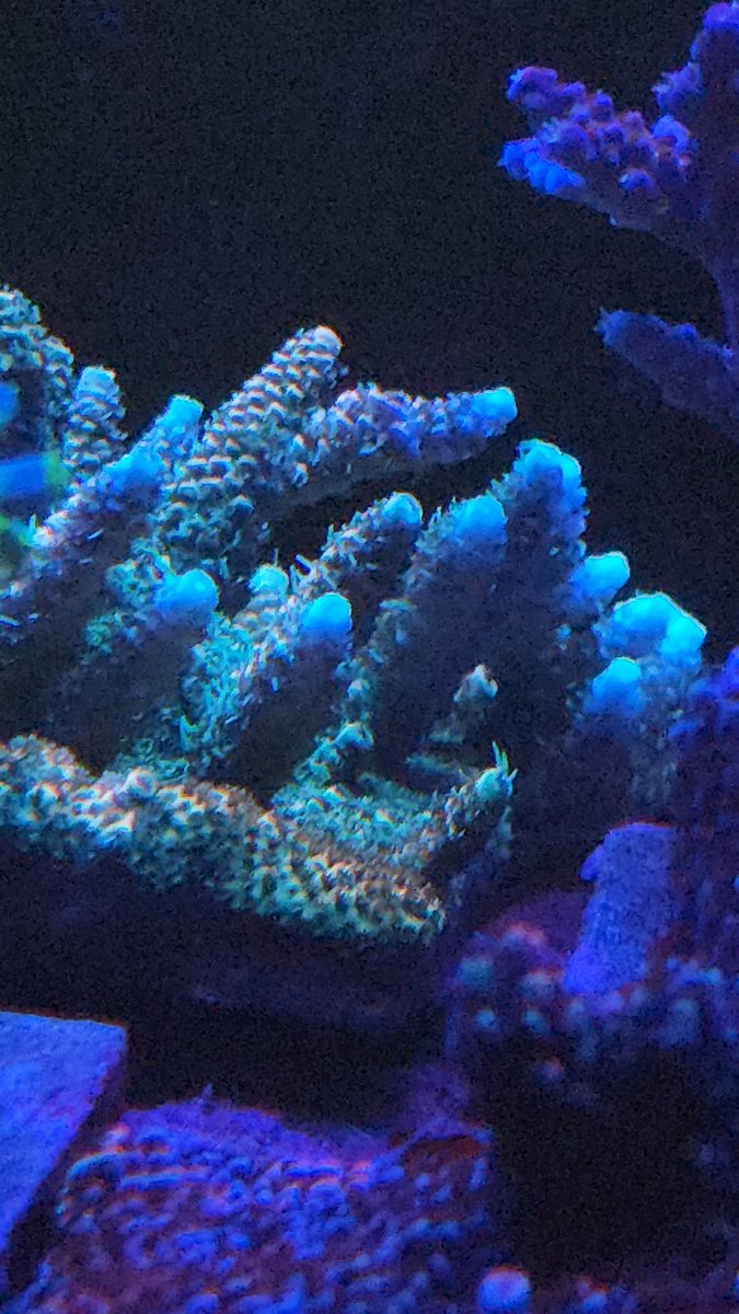 20260909_183156.jpg