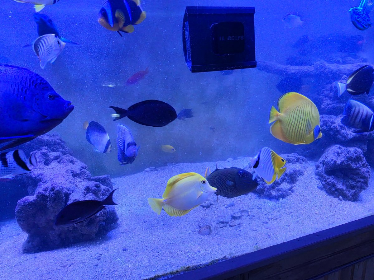 20260914_200718.jpg