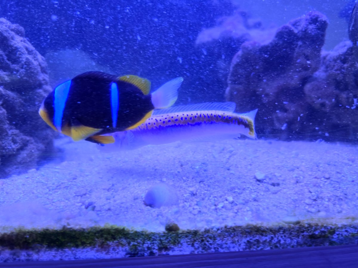 20260914_201458.jpg