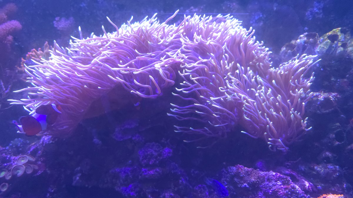 20261013_192551.jpg