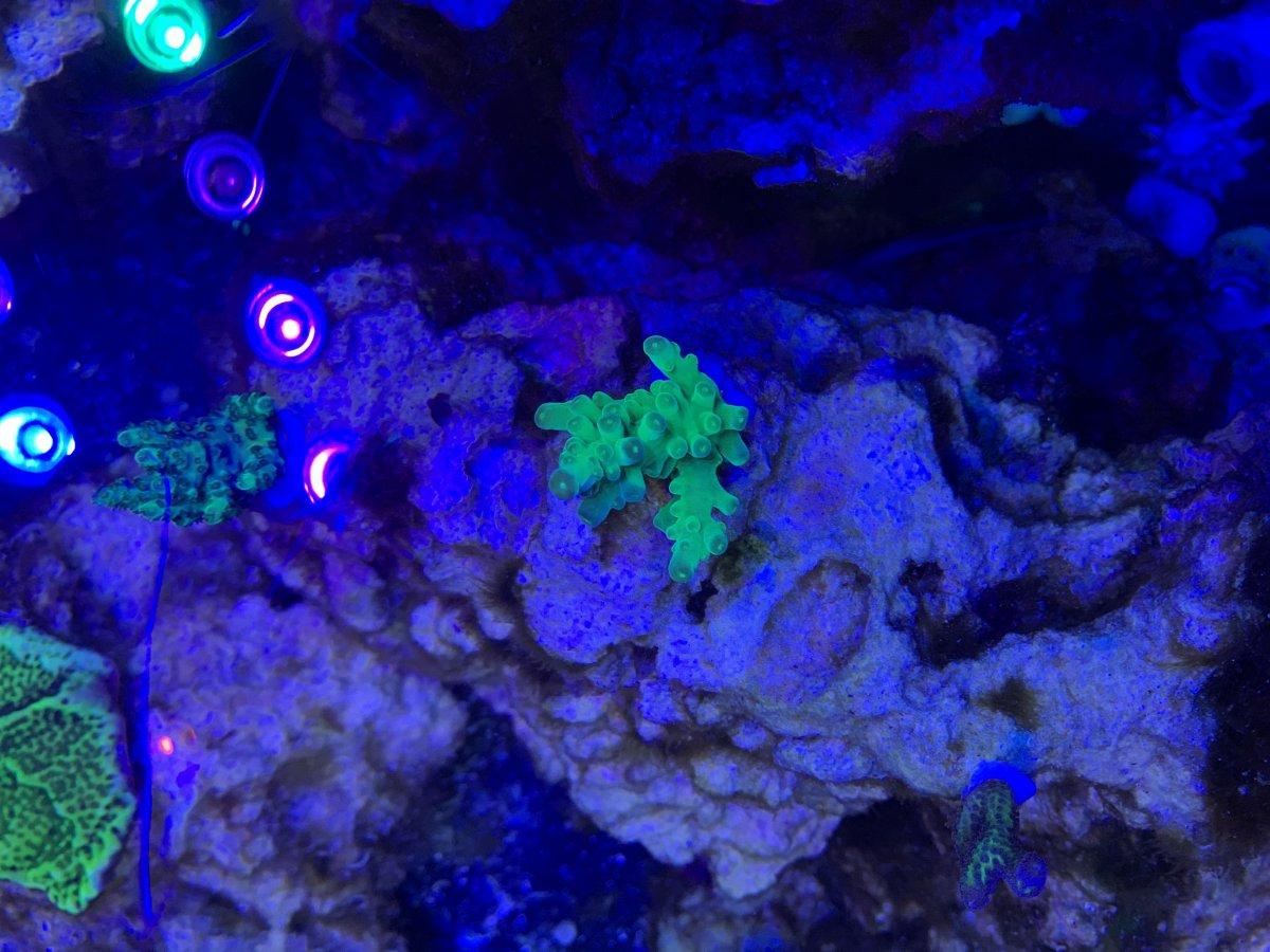 202C3342-D86F-4BD7-B5C2-C644C5FCB4F4.jpeg