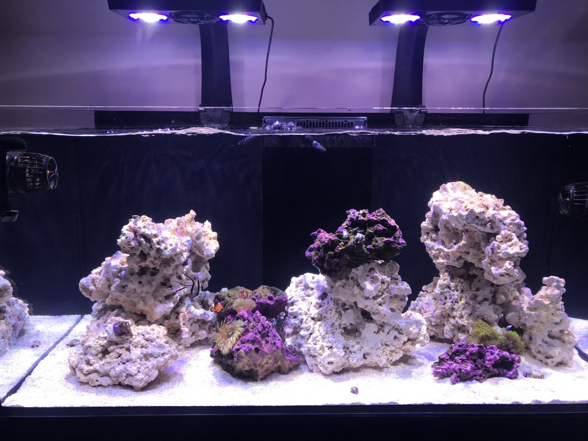 20919B2E-74FA-468B-8403-0FD4F8390C24.jpeg