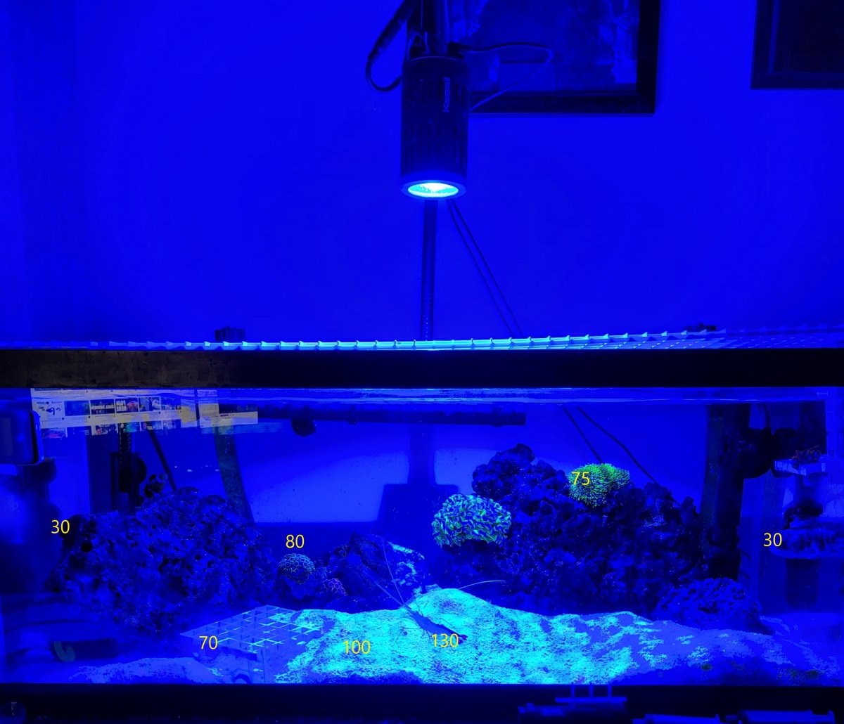 20gal.jpg