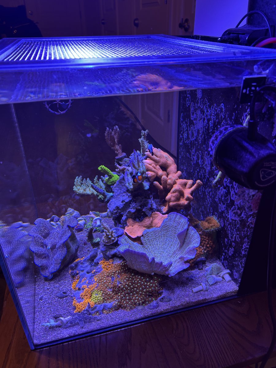 20gal.jpg