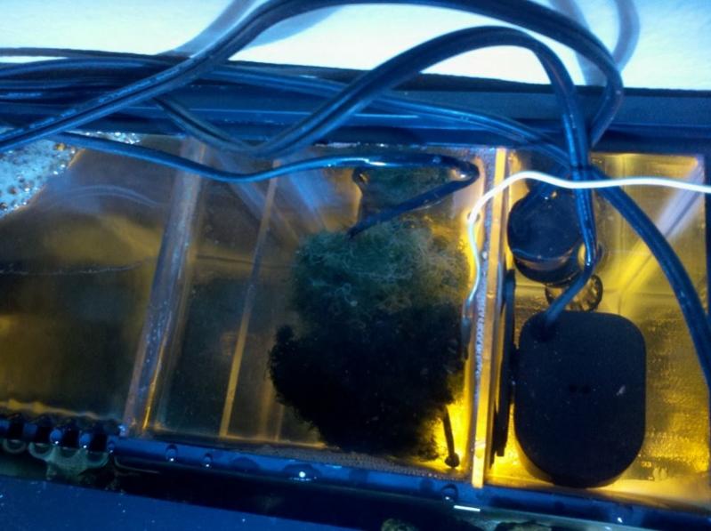 20l inside aio (800x598).jpg